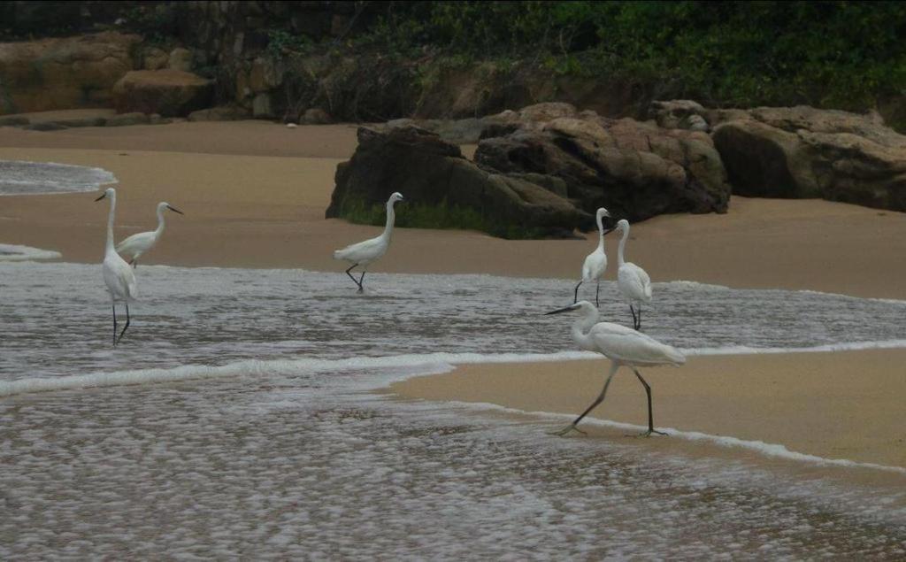 Karikkathi Beach House Thiruvananthapuram Екстер'єр фото
